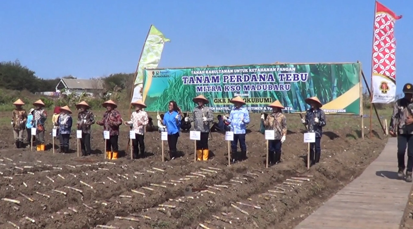 PEMKAB BANTUL DAN KERATON DORONG SWASEMBADA GULA