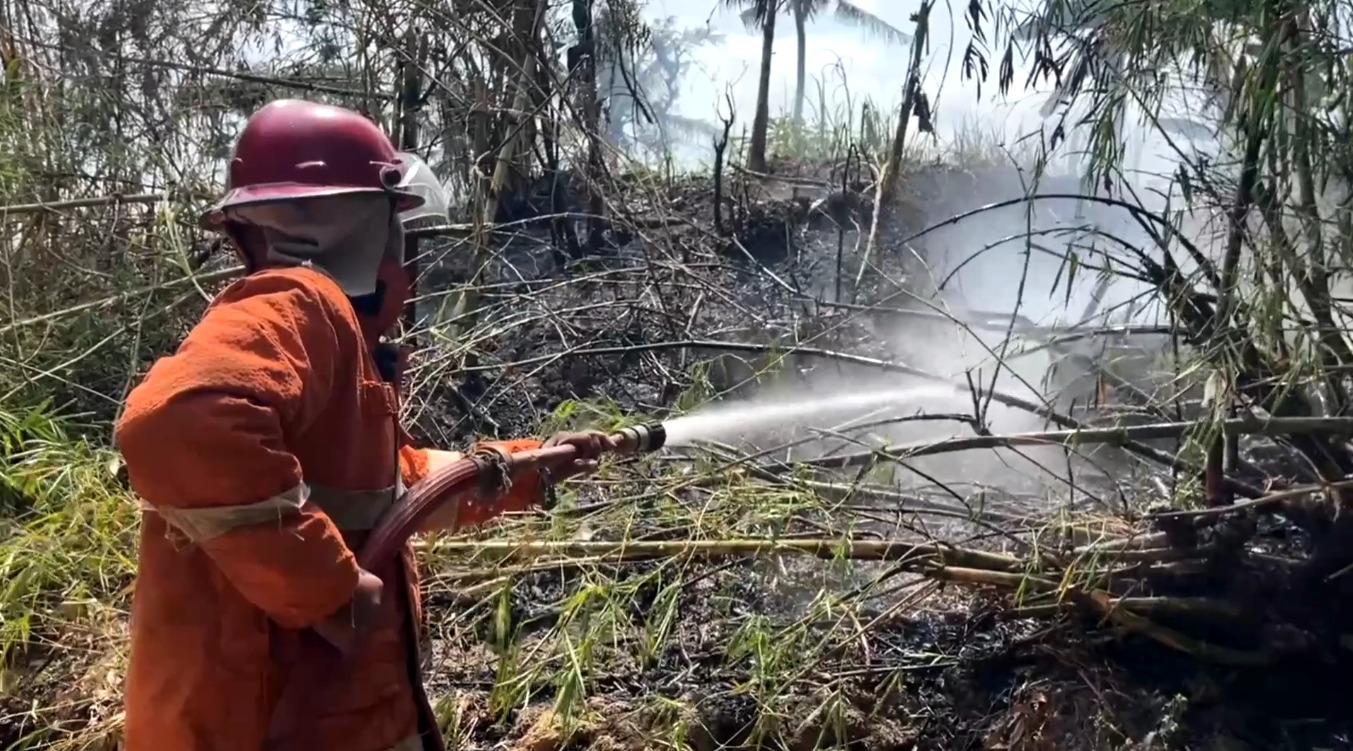 LAHAN BAMBU DI GIRIPENI TERBAKAR, WARGA SEMPAT PANIK