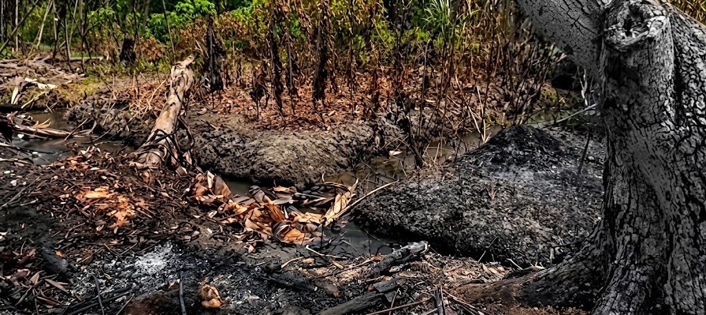 LANSIA DI NANGGULAN TERIMA BANTUAN USAI RUMAHNYA LUDES TERBAKAR