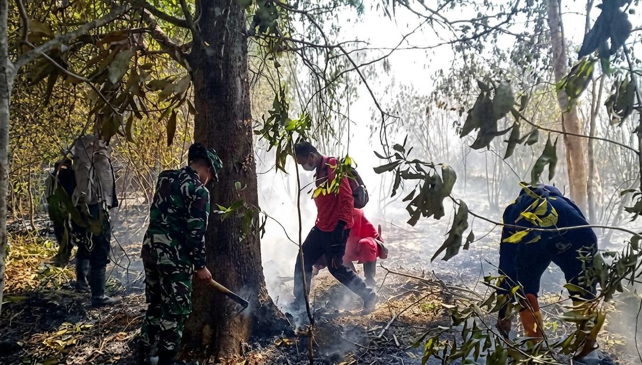 KEBAKARAN HUTAN GUNUNG LAWU MELUAS HINGGA 100 HEKTARE